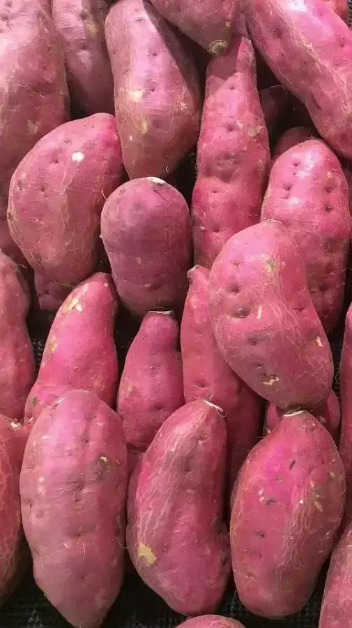 చలికాలంలో తీసుకోవాల్సిన ఆహార పదార్థాలు