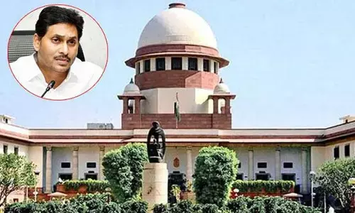 ys jagan, chief minister, bail  andhra pradesh