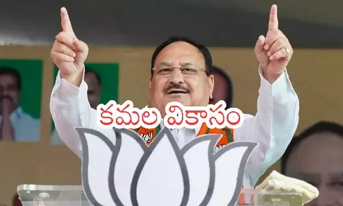 bharatiya janata party, power, modi, telangana