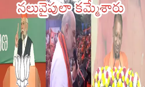 bjp, top leaders, campaign, telangana, elections