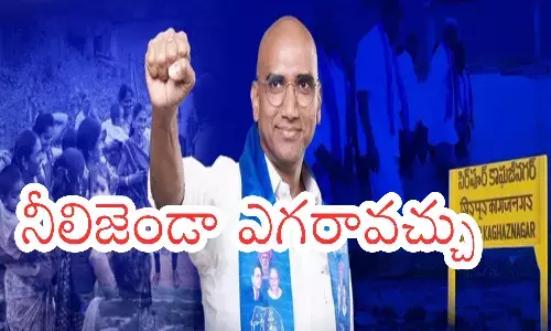 bsp, rs praveen kumar, mayavathi, telangana, elections