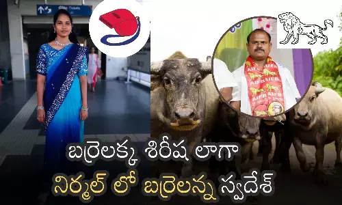 telangana elections, campaign, nirmal, gulf candidate, swadesh, unique style of campaign, support of barrelakka