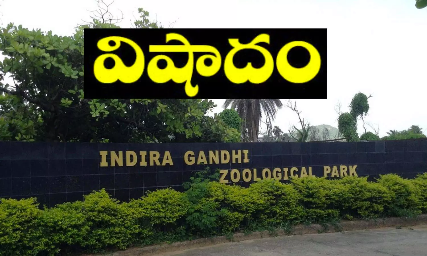 zoopark, vishakhapatnam, vizag zoopark,  Indira Gandhi Zoological Park, Visakha