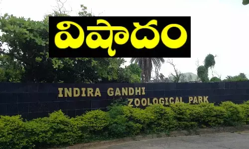 zoopark, vishakhapatnam, vizag zoopark,  Indira Gandhi Zoological Park, Visakha