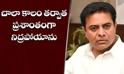 Telangana Assembly Elections 2023, KTR, Telangana Elections, Polling