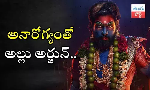 Allu Arjun, pushpa 2, pushpa 2 updates, movie sets