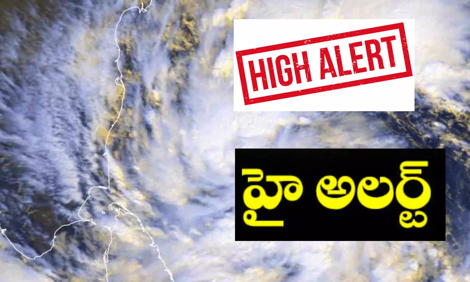 specialofficers, districts, andhrapradesh, Michaungintensifies, cyclonics torm, TamilNadu, Andhra