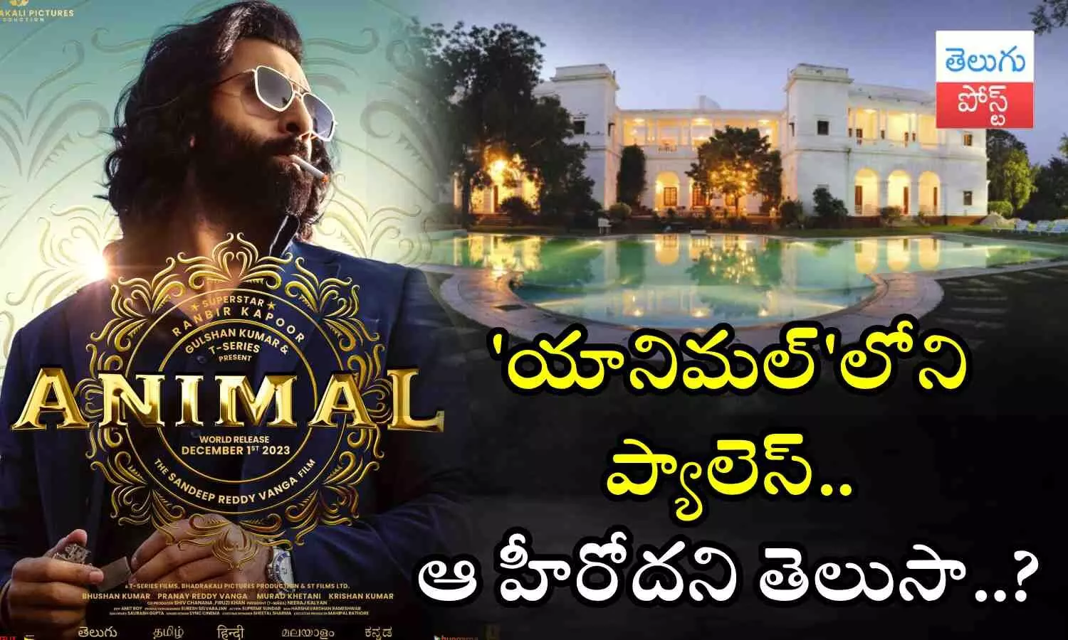 Ranbir Kapoor, Animal Movie, bollywood star hero