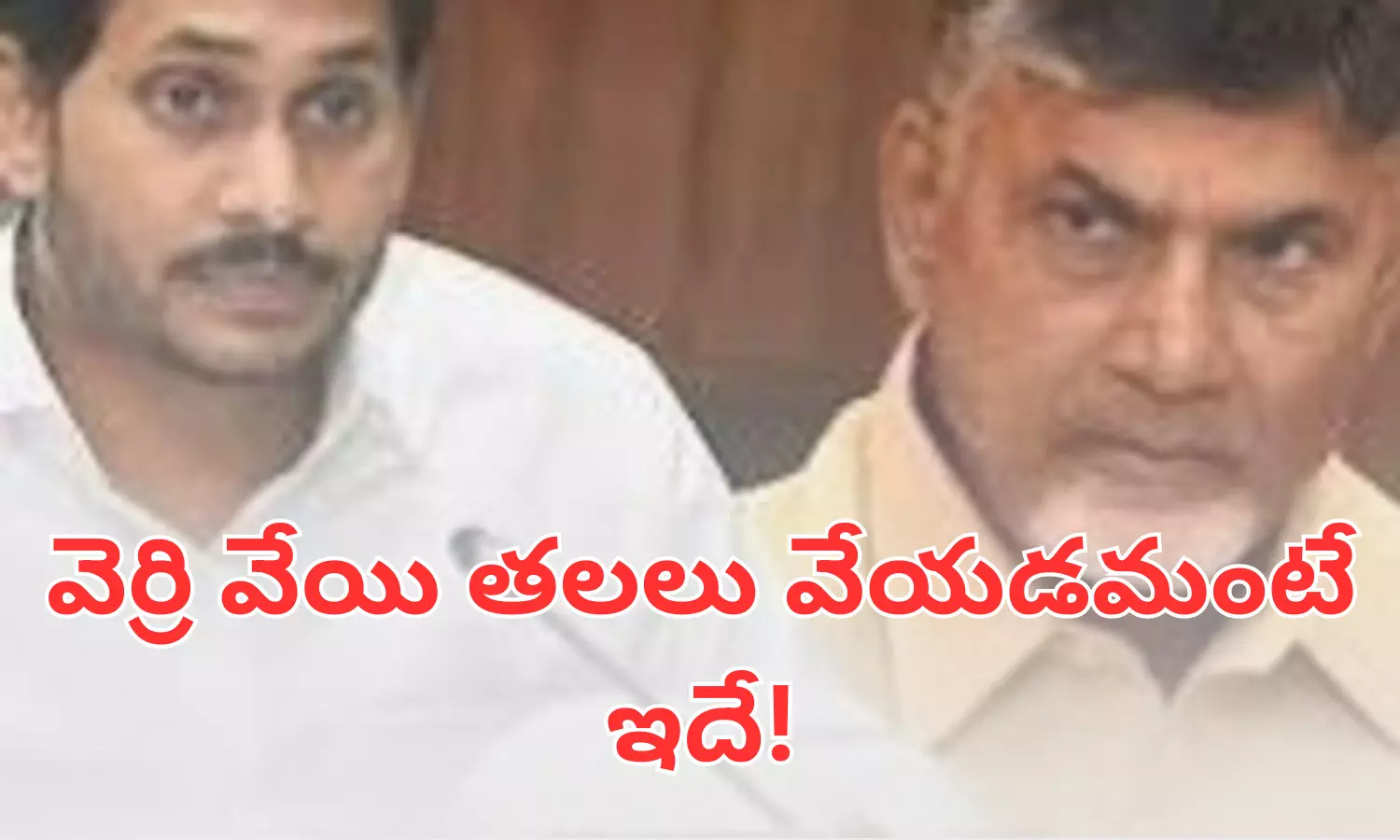 వెర్రి వేయి తలలు వేయడమంటే ఇదే!