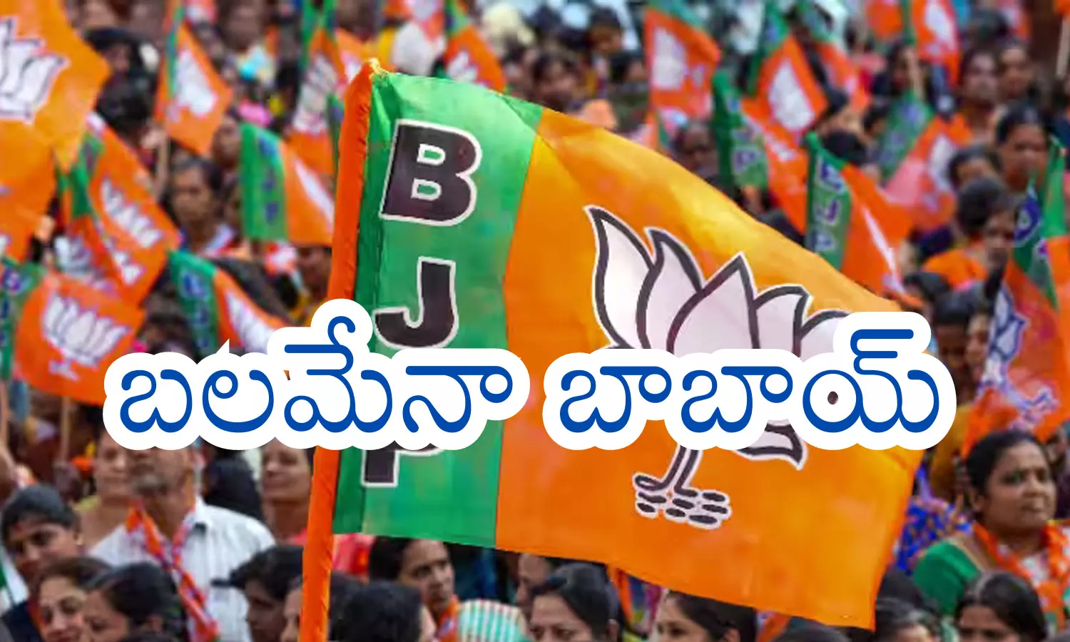 bharatiya janata party, elections, telangana