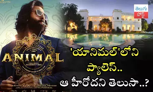 Ranbir Kapoor, Animal Movie, bollywood star hero