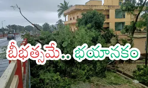 michoung, cyclone, panic, andhra pradesh