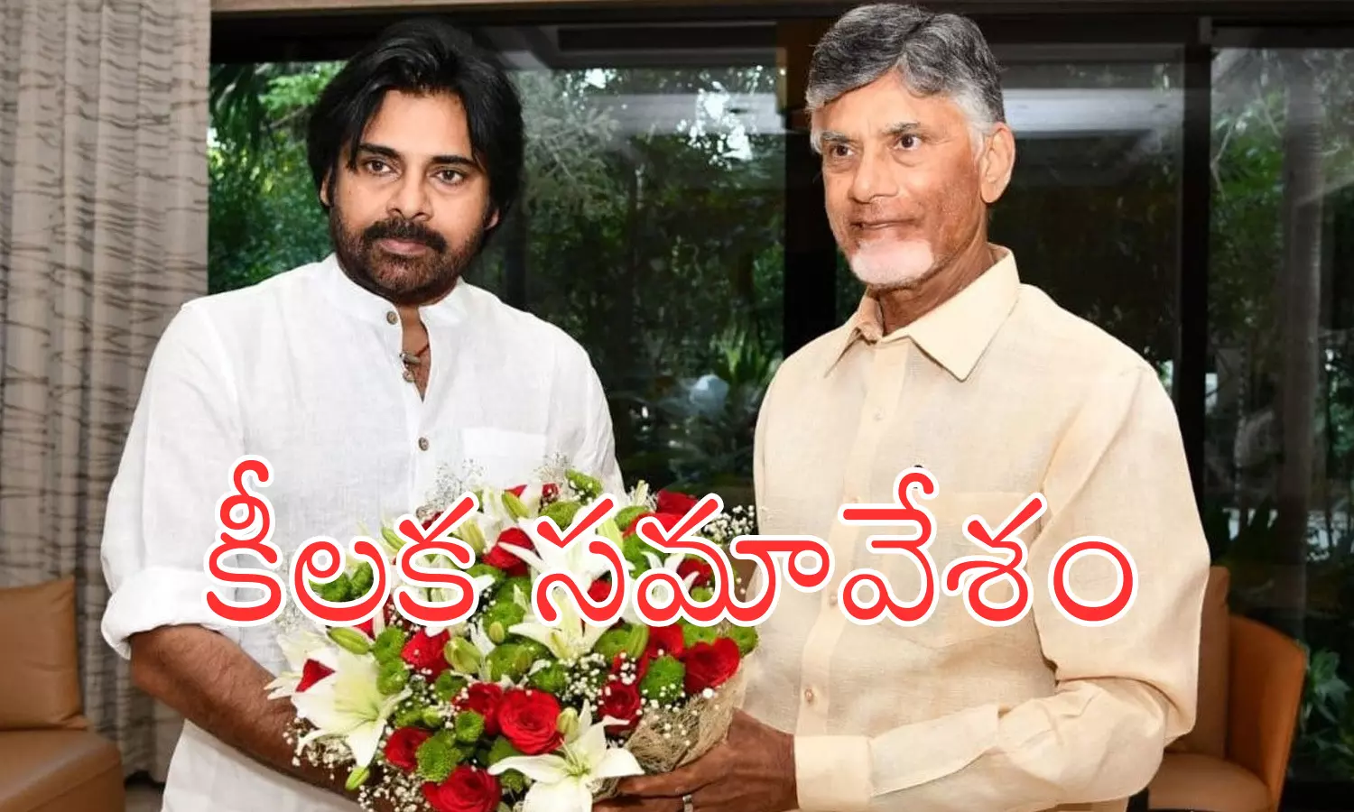 pawan kalyan, janasena chief, chandrababu, meeting,  political discussion