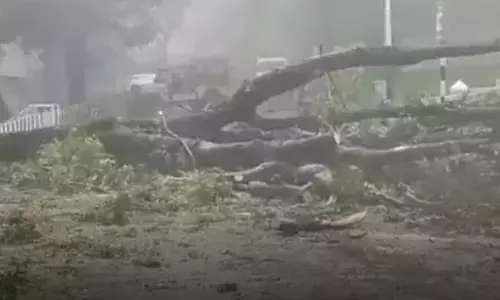 tamil nadu, cyclone, michoung, shaken,  twelve people