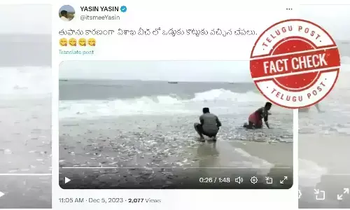 Fishes afloat on beach, michaung cyclone, bheemili beach, Visakhapatnam