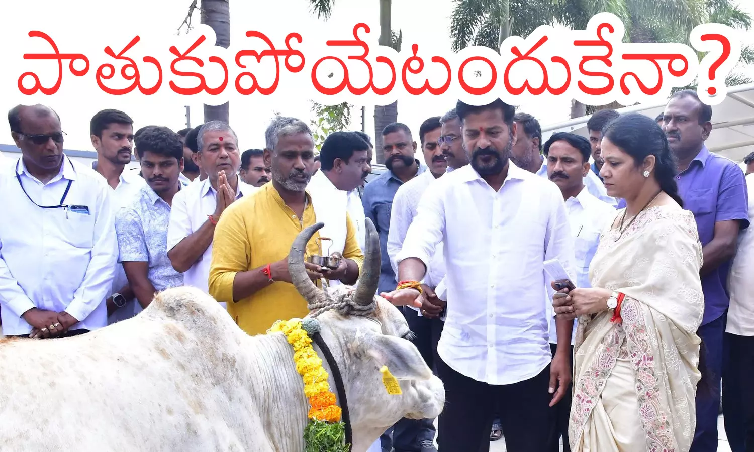 revanth reddy, chief minister, congress, telangana, political news