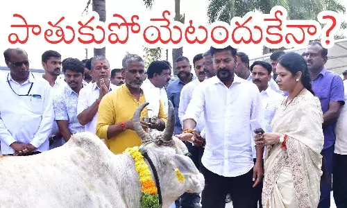 revanth reddy, chief minister, congress, telangana, political news