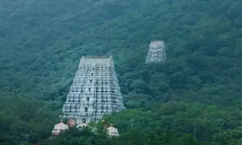 crowd, devotees, income, tirumala, andhra news, andhrapradesh