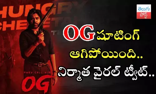 Pawan Kalyan, OG, OG Movie, Hari Hara Veera Mallu, Ustaad Bhagat Singh