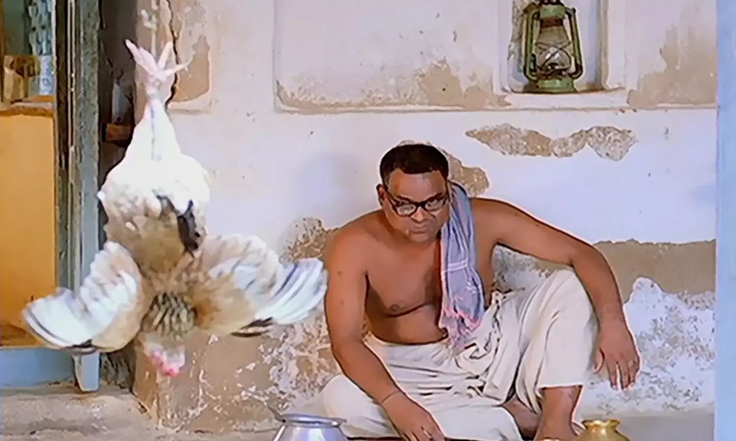 chicken, price, increased, meat lovers are interested in buying chicken