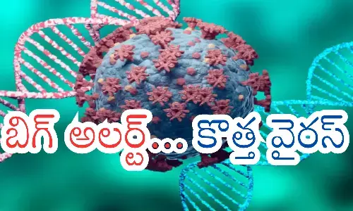 new variant, JN.1 variant, kerala, covid cases