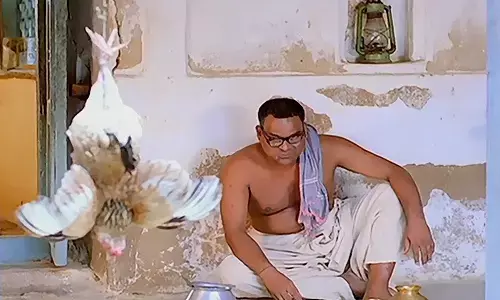 chicken, price, increased, meat lovers are interested in buying chicken