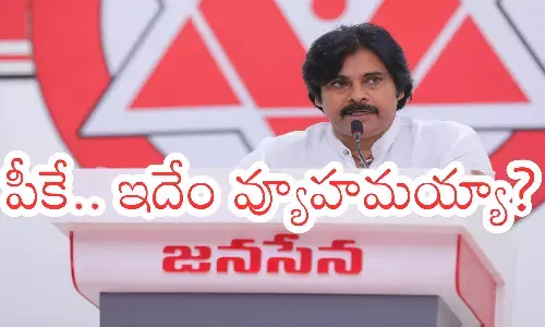 pawan kalyan, janasena chief, ycp, tdp, appolitics, andhrapolitics, political news, pawankalyan news