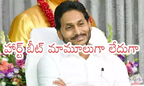 ys jagan, ycp, change, in-charges, andhra news, appolitics, politicalnews, andhrapradesh, ysrcp news