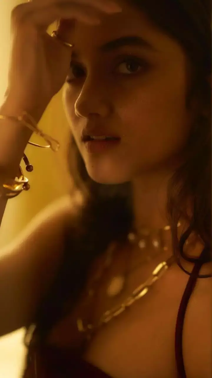 ఎవరీ భాగ్యశ్రీ బోర్సే.. మాస్ మహారాజా సినిమాలో హీరోయిన్