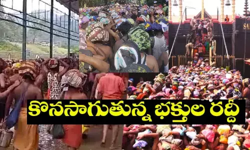 sabarimala, ayyappa, darshanam, sabarimala devotees sabarimalaayyappadarshan