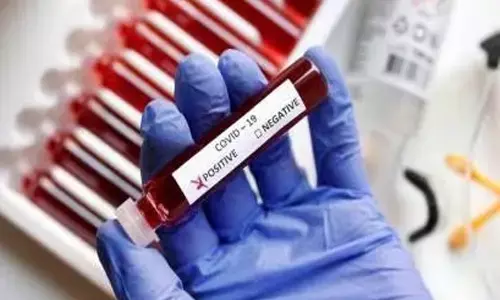 corona, positive, bhupalapalli district, telangana, corona cases, corona news, telangana news