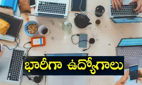 Jobs, Job, NewJobs, IndiaJobs, 39 lakh jobs, hyderabad, SaaS, BFSI, QSR, 2024, india