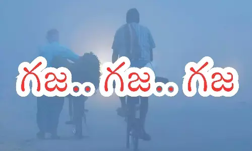 Cold Winds : దారుణంగా పడిపోయిన ఉష్ణోగ్రతలు.. చలిగాలులు పెరగడంతో?