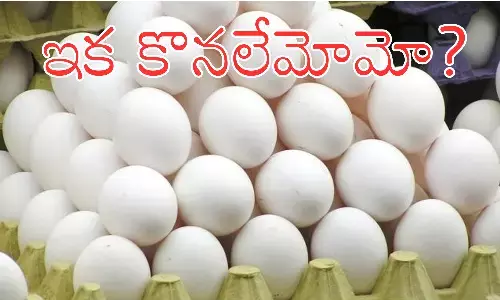 Egg : కోడిగుడ్డు ధరలు ఇంత పెరిగితే.. భవిష్యత్‌లో తినగలమా?