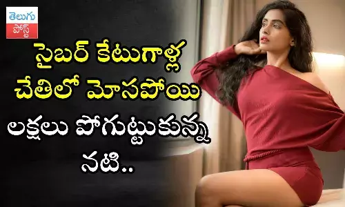 Anjali Patil, cyber fraud, cyber crime