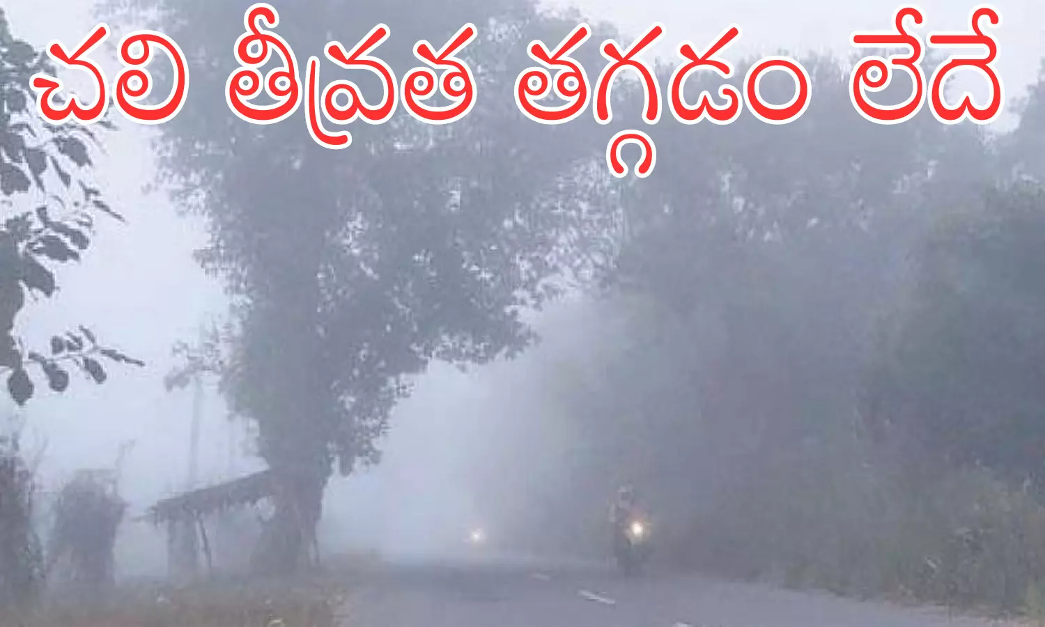 Cold Winds : చలిని ఎంజాయ్ చేస్తున్నారట.. మరికొద్ది రోజులు ఇలాగేనట