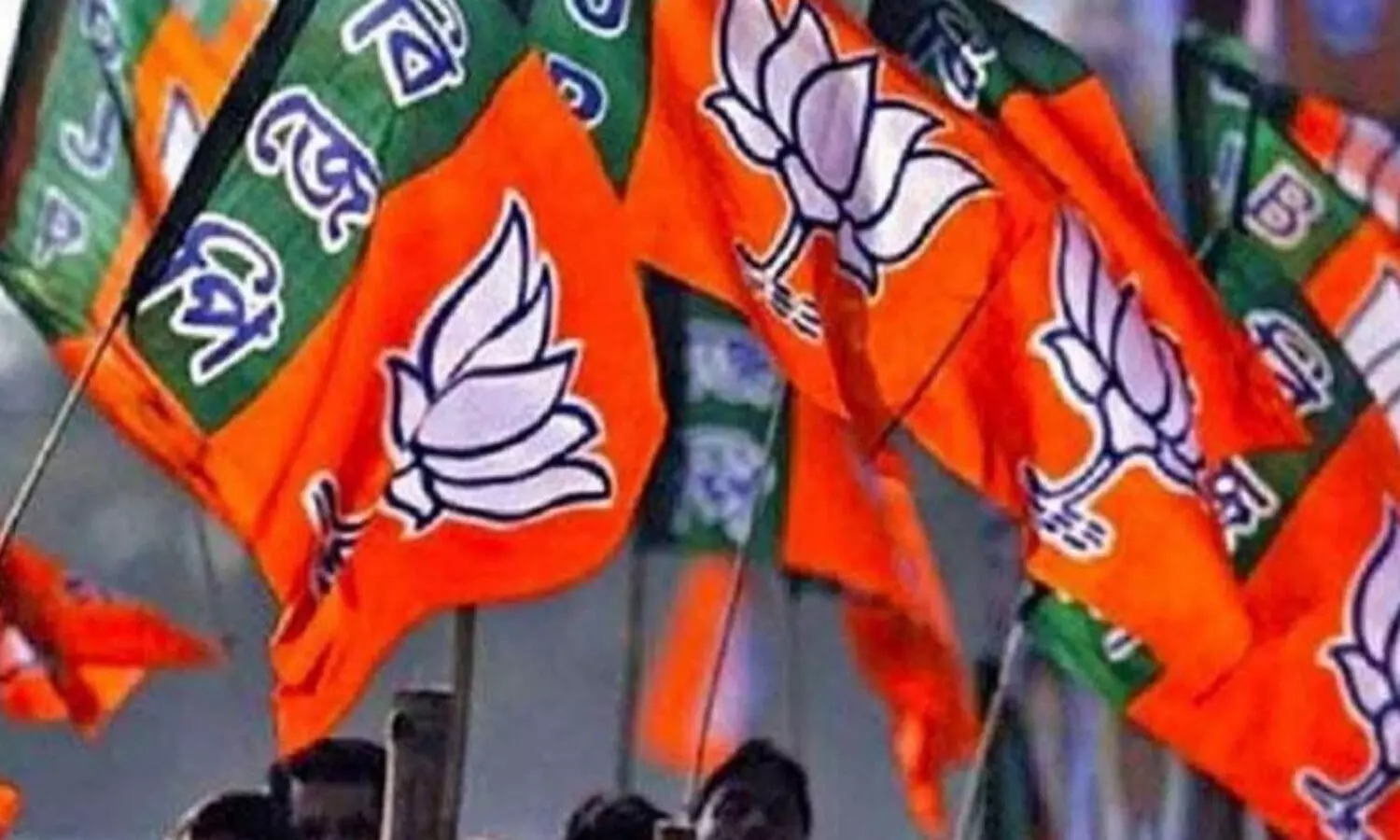 bjp, vijaya sankalpa yathra, parliament elections, telangana