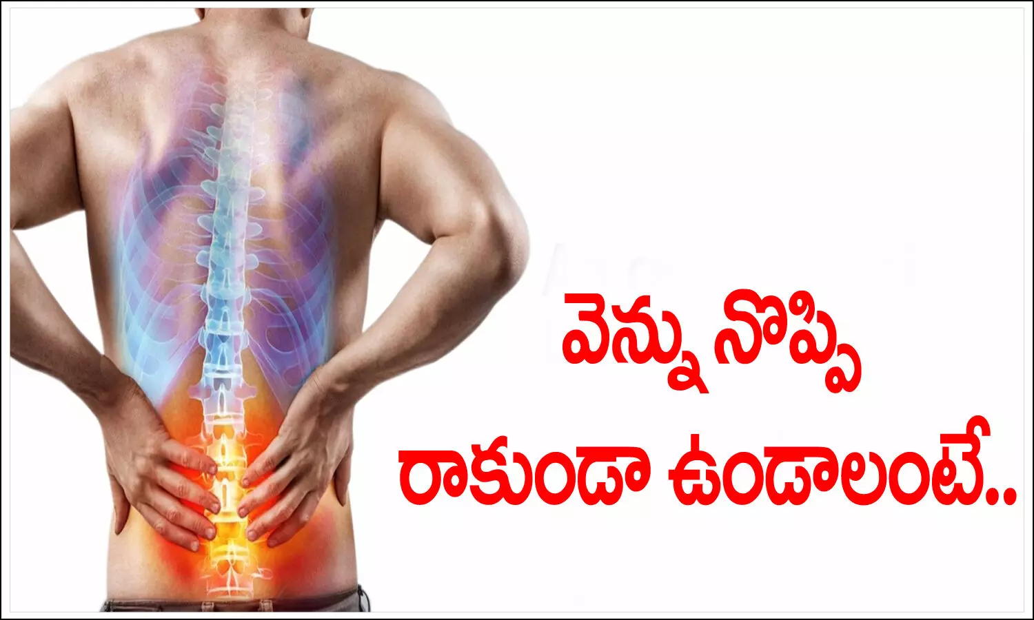 Back Pain
