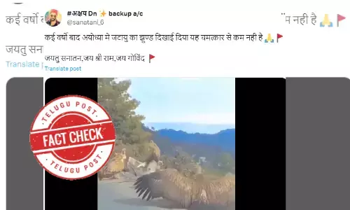 Fact Check: Video of Vultures not connected to Ayodhya Ram temple consecration ceremony