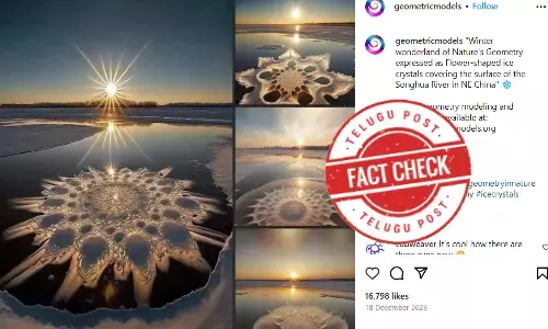 Ice flowers in Songhua River, Natural wonder in Songhua River, Frost flowers in river