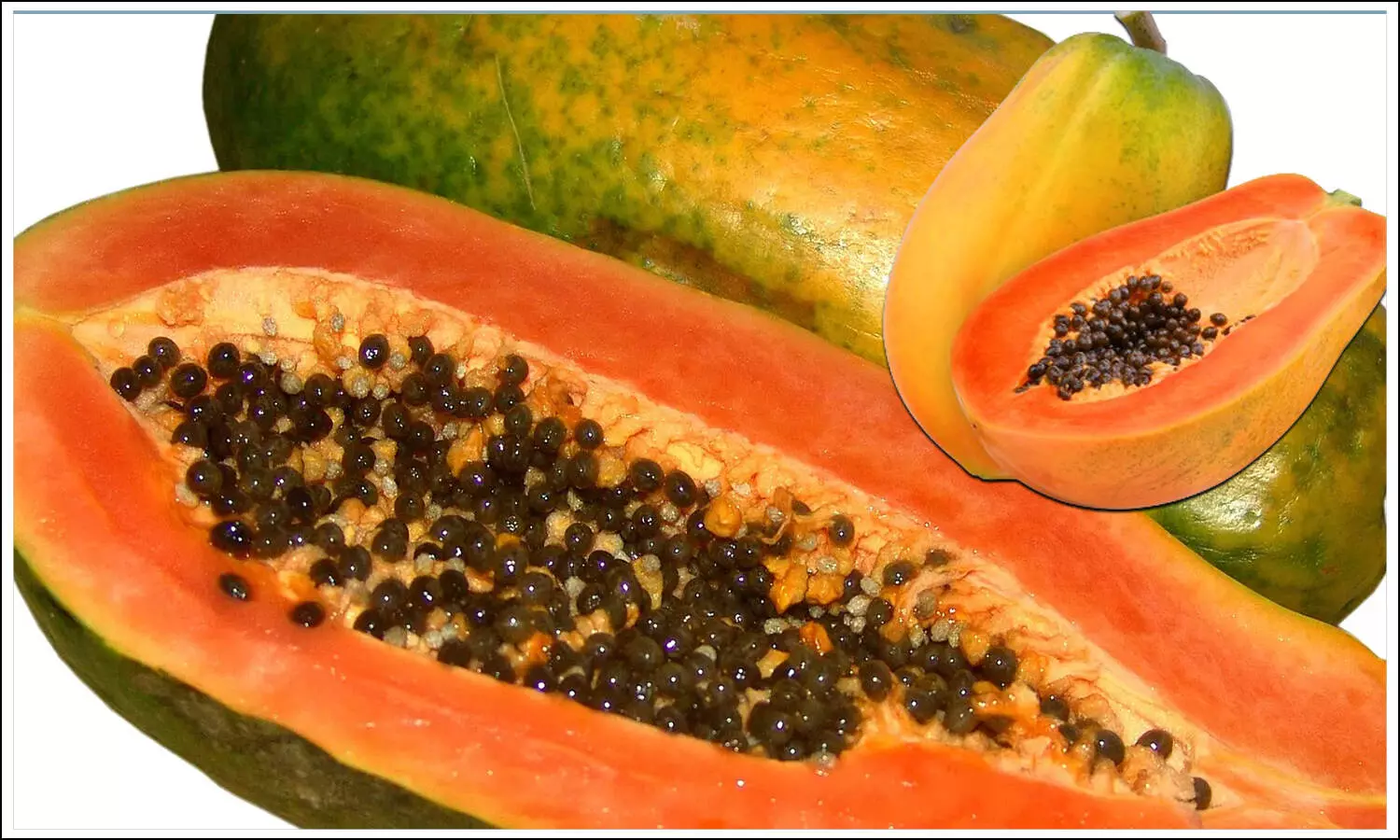 Papaya