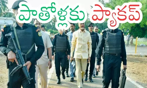 Chandrababu : జగన్ పంథాలోనే చంద్రబాబు... సీనియర్లకు చెక్ చెప్పేయడమేనట