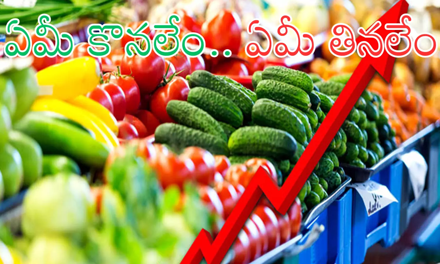 Pakistan : పాక్ లో మెరుగుపడని ఆర్థిక పరిస్థితి...డజన్ కోడిగుడ్లు నాలుగు వందలట Pakistan : పాక్ లో మెరుగుపడని ఆర్థిక పరిస్థితి...డజన్ కోడిగుడ్లు నాలుగు వందలట