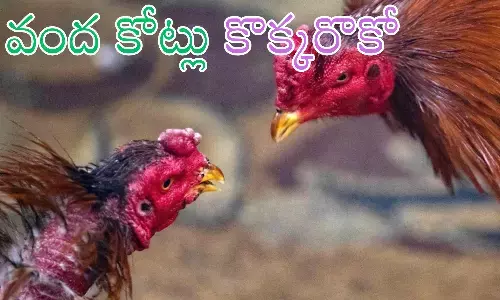 Cock Fight : కరెన్సీ కట్టలు అలవోకగా ఆవిరయిపోయాయిగా... ఎవరి జేబుల్లోకి వెళ్లింది?