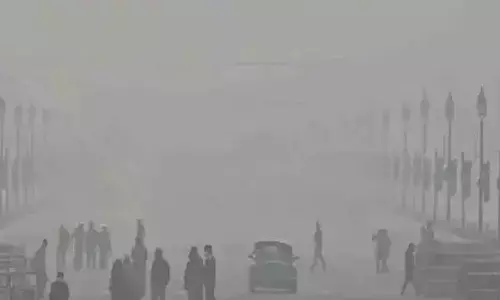 Delhi :  పదిహేడు విమానాలు రద్దు.. పైకి ఎగరలేక