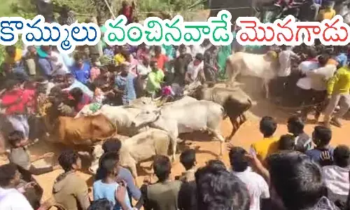 Jallikattu : రంగంపేట జల్లికట్టుకు జల్ది పోదాం.. పదండి.. అక్కడ ఏం జరుగుతుందో మీకైమైనా తెలుసా?