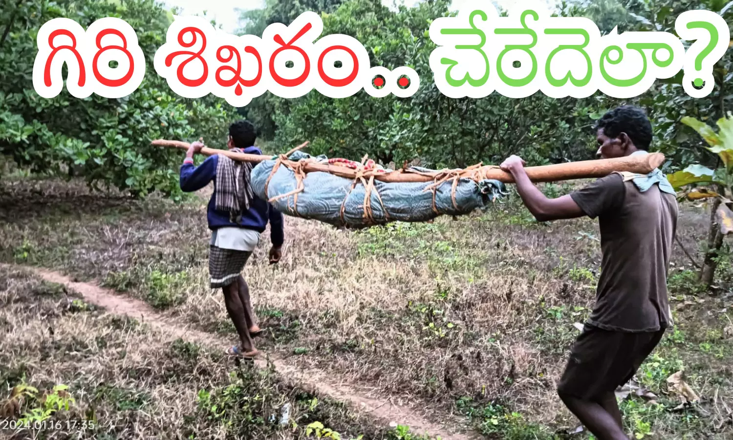 Andhra Pradesh : డోలీలోనే డెడ్ బాడీ తరలింపు.. సోషల్ మీడియాలో వైరల్