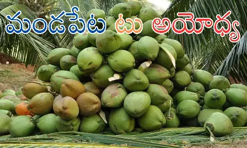 Ayodhya : అయోధ్య రాములోరి కల్యాణానికి కోనసీమ నుంచి కొబ్బరిబోండాలు