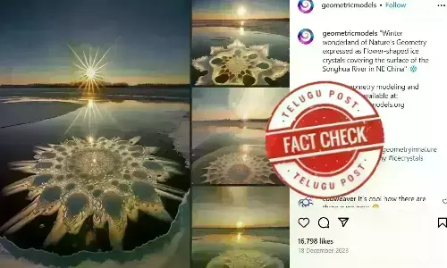 Ice flowers in Songhua River, Natural wonder in Songhua River, Frost flowers in river, Natural phenomenon