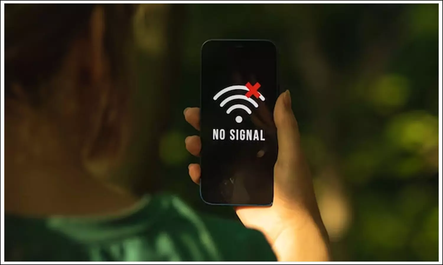 No Signal